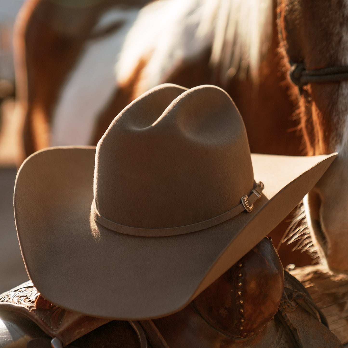 Yellowstone Cowboy Collection